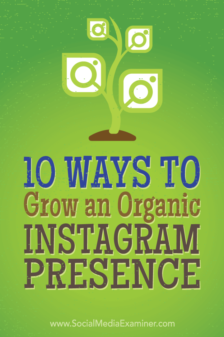 Советы по 10 тактикам, которые используют ведущие маркетологи, чтобы естественным образом привлечь больше подписчиков в Instagram.