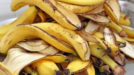 Каковы преимущества банана? Сколько существует видов бананов? Неизвестное использование банановой кожуры! 