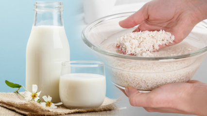 Как приготовить жиросжигающее рисовое молоко? Метод похудения с рисовым молоком