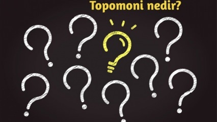 Что такое топомония, что она исследует? Каковы преимущества топомоники? 
