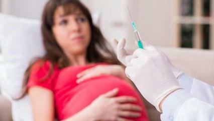 Предупреждение от специалистов! Беременные будут ждать вакцины от коронавируса