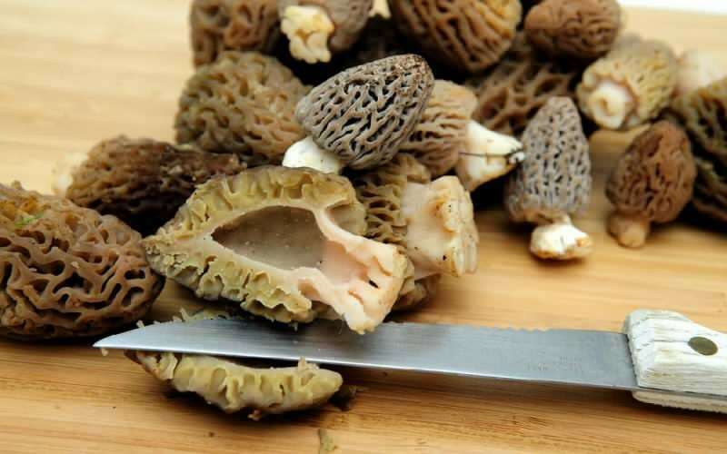 В чем польза грибов из ягненка? Как употреблять шампиньоны из баранины?