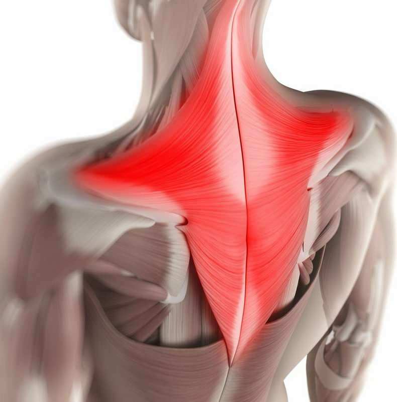 В течение дня бессознательно мышцы шеи могут быть растянуты в неправильном сидячем положении. 