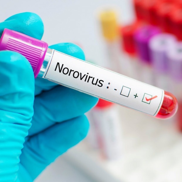 Что такое норовирус и какие заболевания вызывают