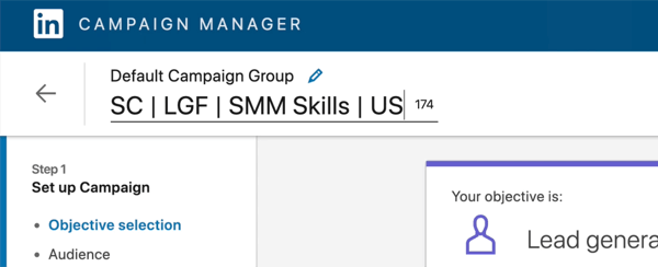 снимок экрана с названием кампании LinkedIn изменен, чтобы сказать «SC | LGF | SMM навыки | НАС'