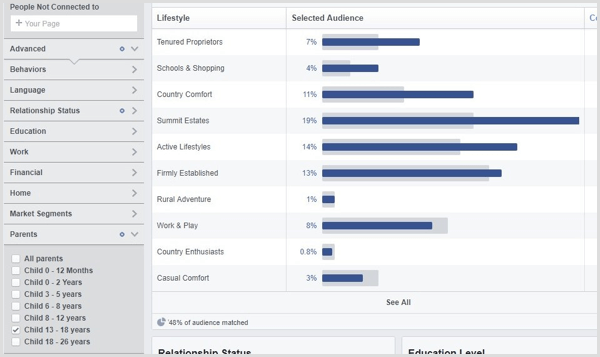 Просмотр статистики аудитории Facebook для индивидуализированной аудитории.