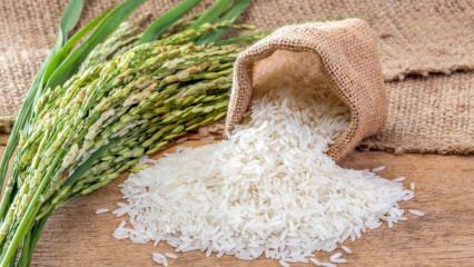 Что такое рис Бальдо? Каковы особенности риса Бальдо? 2020 бальдо цены на рис
