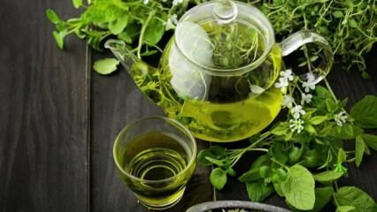 Преимущества зеленого чая! Быстрое и здоровое похудение с помощью зеленого чая