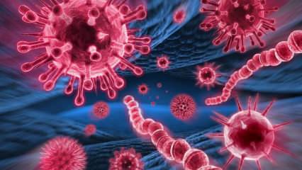 Что такое вирус Мерс? Каковы симптомы вируса Мерс? Как передается вирус Мерс?