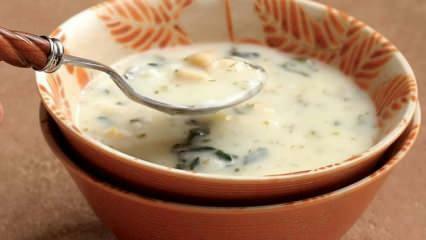 Что такое суп-довга и как его приготовить? Рецепт супа-довги в домашних условиях