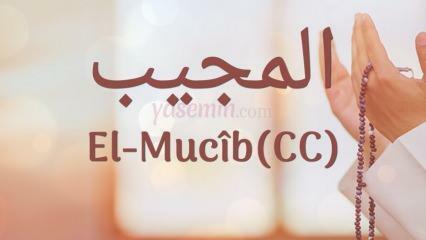 Что означает аль-Муджиб (с.с)? Каковы достоинства имени Аль-Муджиб? Исмауль Хусна Аль-Муджиб...