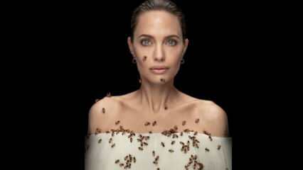 Анджелина Джоли в очках с пчелами для пчел!
