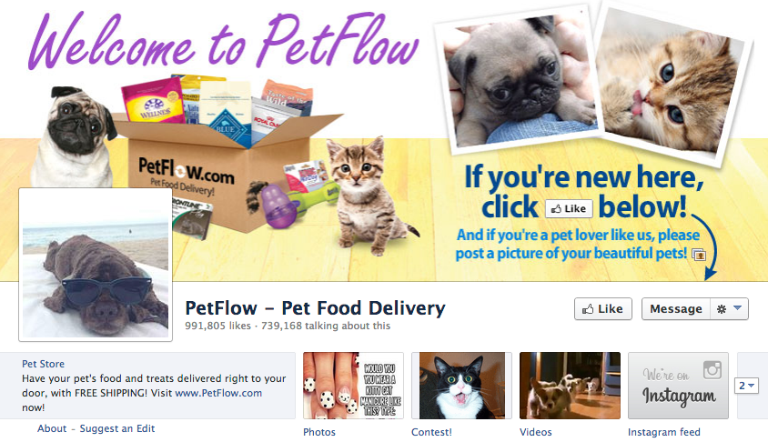 страница фейсбука petflow