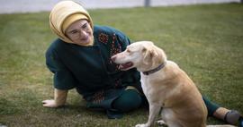 Пост первой леди Эрдогана, посвящённый Дню защиты животных, 4 октября.