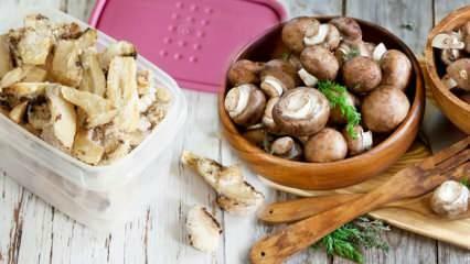 Как хранить грибы в холодильнике? Как хранить мытые грибы в холодильнике? Способы хранения грибов