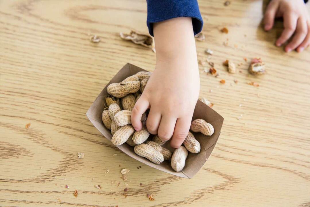 Употребление орехов детьми