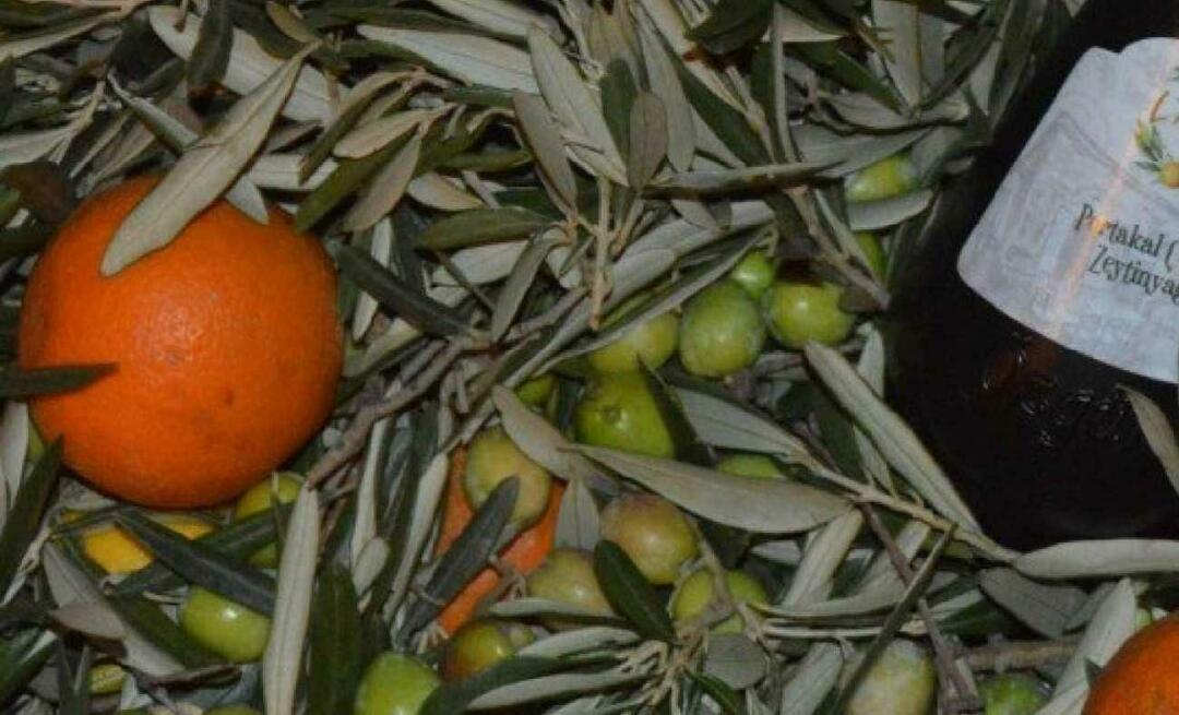 Женщины-предприниматели из Балыкесира произвели апельсиновое оливковое масло!