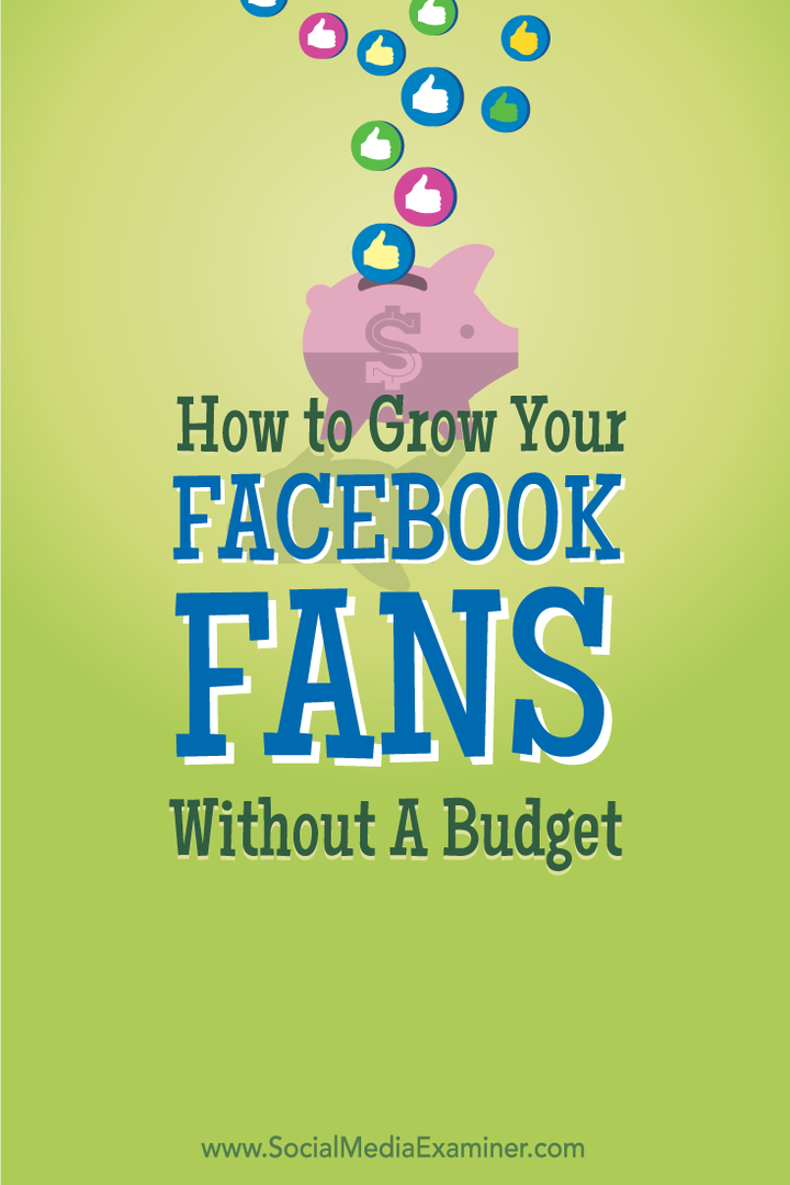 Как привлечь поклонников Facebook без бюджета: специалист по социальным медиа