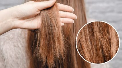 Что делается с горящими волосами с середины? Как сохранить обработанные волосы?
