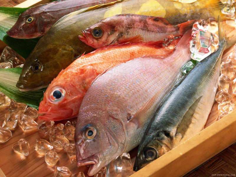 Советы по выбору свежей рыбы от жюри Masterchef Mehmet Chef