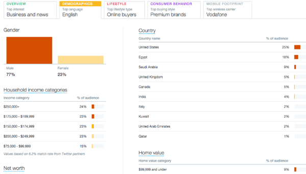 образец информации вкладки демографические данные аудитории Twitter
