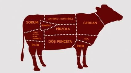 Из каких частей состоит говядина? Какое мясо вырезано из какого региона?