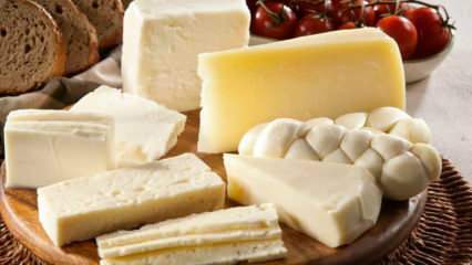 Как хранится сыр? Как уберечь сыр от холодильника