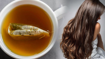 Какая польза от зеленого чая для волос? Рецепт маски для кожи из зеленого чая