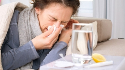 Какие продукты полезны при простуде и гриппе? 5 продуктов, которые предотвращают грипп ...