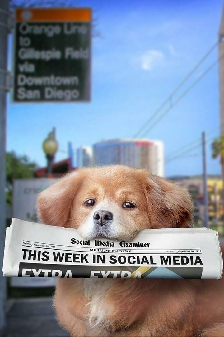 Periscope ведет прямую трансляцию в Twitter: на этой неделе в социальных сетях: Social Media Examiner