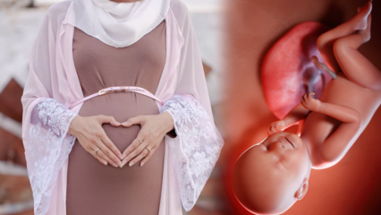 Молитвы о здоровье ребенка во время беременности и зикр эсмауль хусна