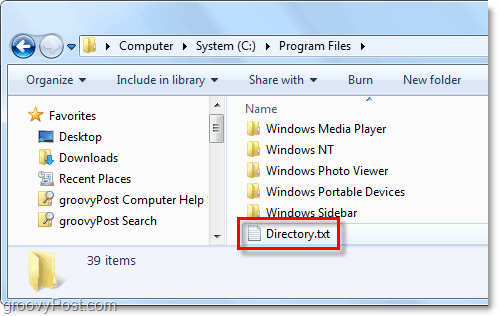файл directory.txt создан в вашей системе Windows