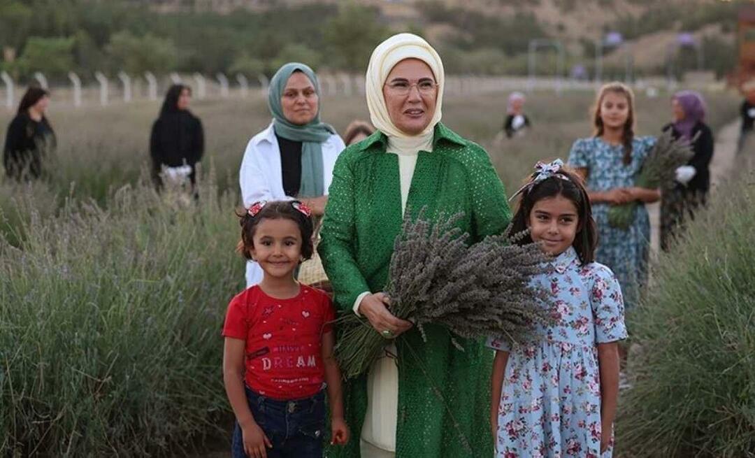 Первая леди Эрдоган посетила Экологическую деревню и собрала лаванду в Анкаре