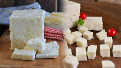 Что такое сыр Ezine и как его понимать? Рецепт сыра Ezine