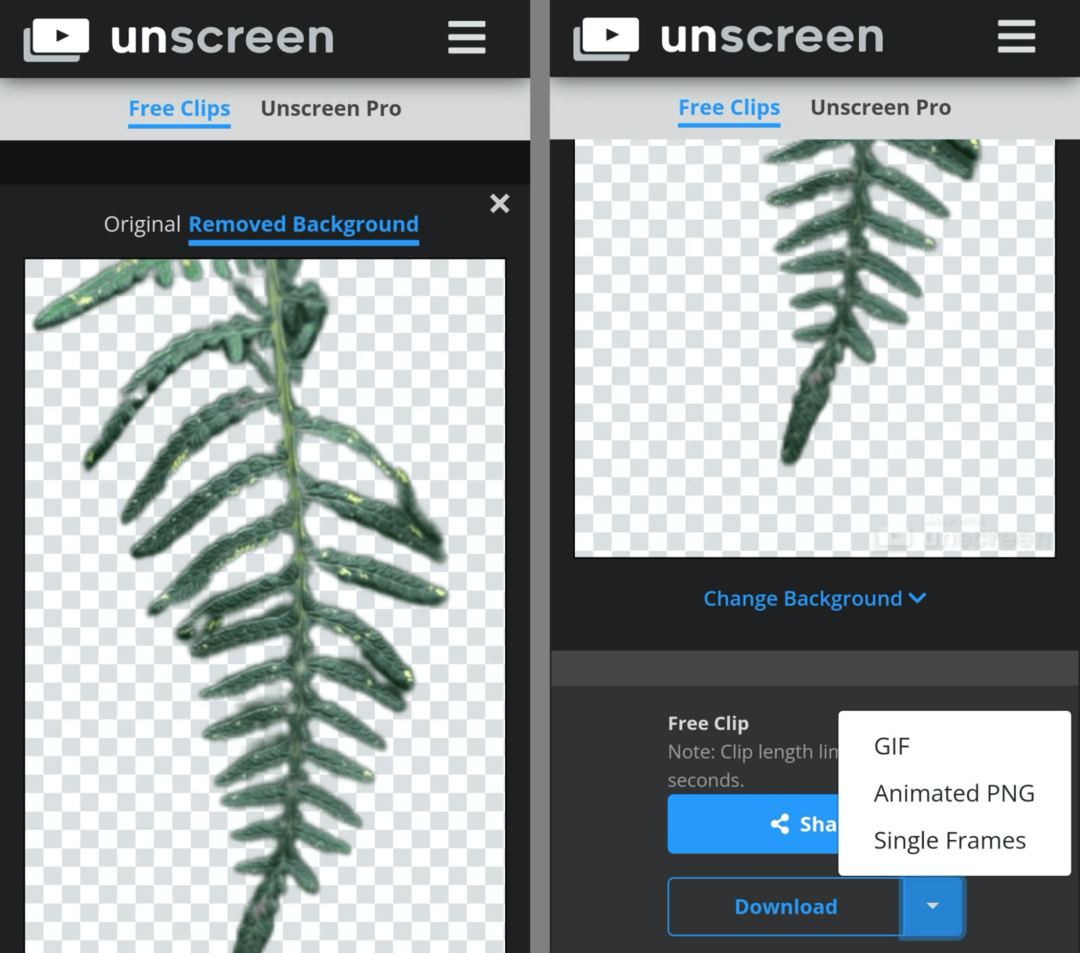 изображение инструмента для создания Unseen GIF