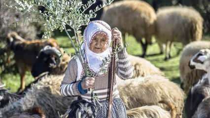 Тетя Фатьма уже полвека работает пастухом у подножия гор Аманос!