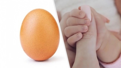 Рекордное яйцо с 28 миллионами лайков