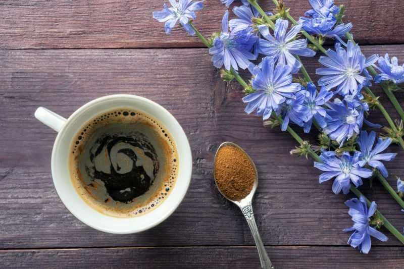 Что такое кофе с цикорием, как его делают?