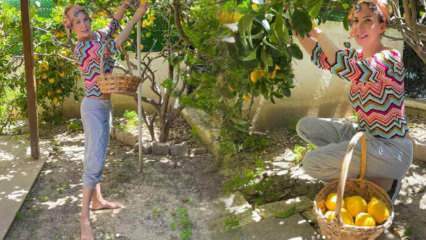 Певица Тугба Озерк сорвала лимон с дерева в собственном саду!