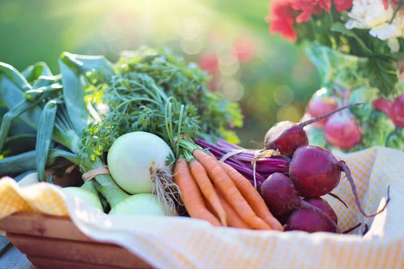 Что такое овощная диета? Как сделать овощную диету
