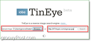 Снимок экрана TinEye - поиск изображения на наличие дубликатов и увеличенных версий