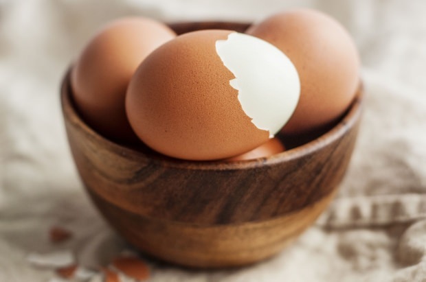 Органический анализ яйца