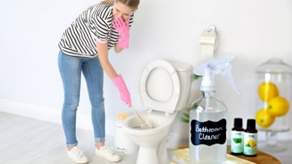 Как сделать туалетный спрей в домашних условиях? Советы по приготовлению натурального чистящего средства для унитаза
