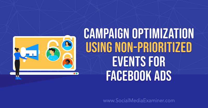 Оптимизация кампании с использованием неприоритетных событий для рекламы в Facebook. Автор Анна Зонненберг в Social Media Examiner.