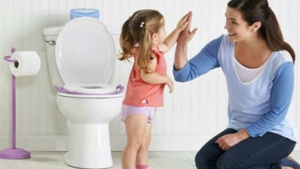 Что такое 3-дневное правило в обучении туалету? Когда проводится обучение туалету, в каком возрасте оно начинается?