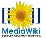 Плагин MediaWiki для Microsoft Word 2010 и 2007