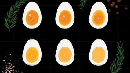 Время варки яйца! Сколько минут варится вареное яйцо?