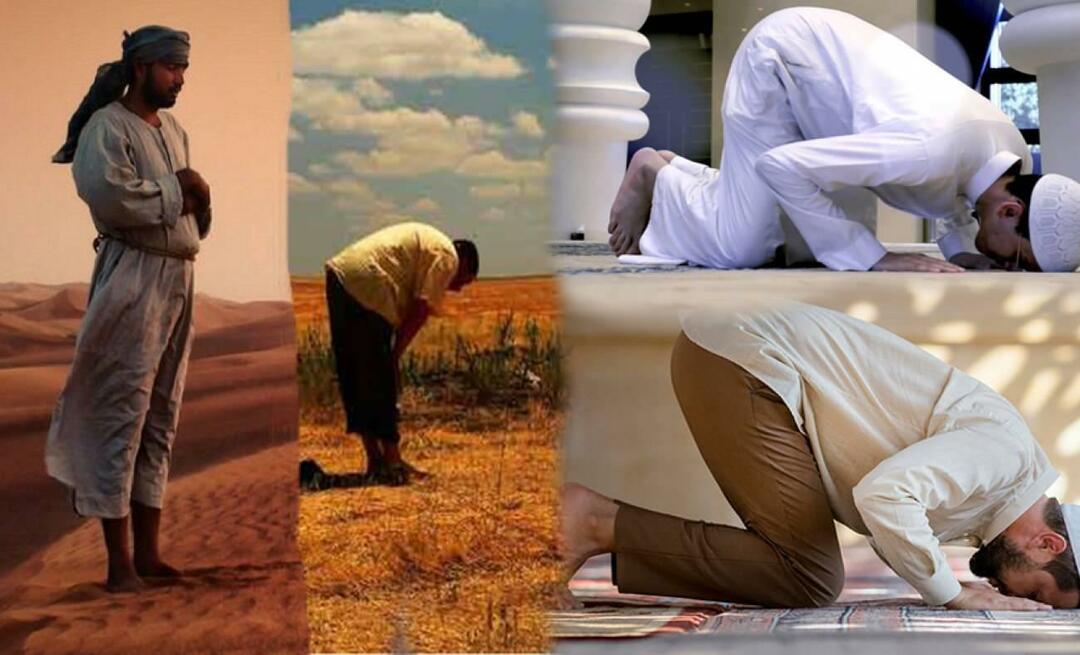 Что означают движения тела во время молитвы? В чем мудрость стояния, поклона и двух простираний?