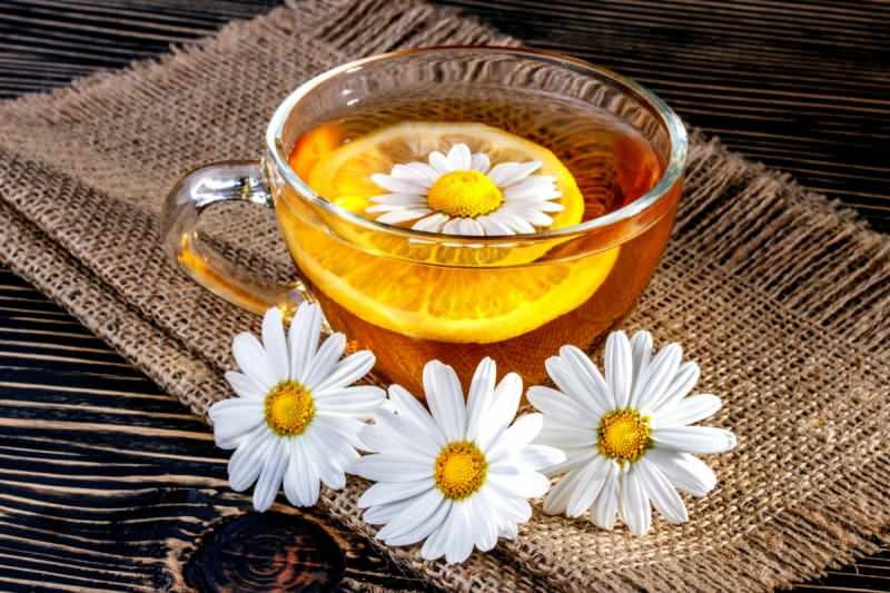 Ромашковый чай голоден или полон? Увеличьте метаболизм с помощью ромашкового чая