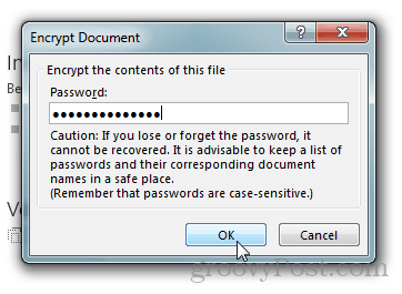 Защита и шифрование паролем документов Office 2013: введите пароль